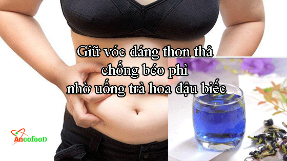 hoa đậu biếc